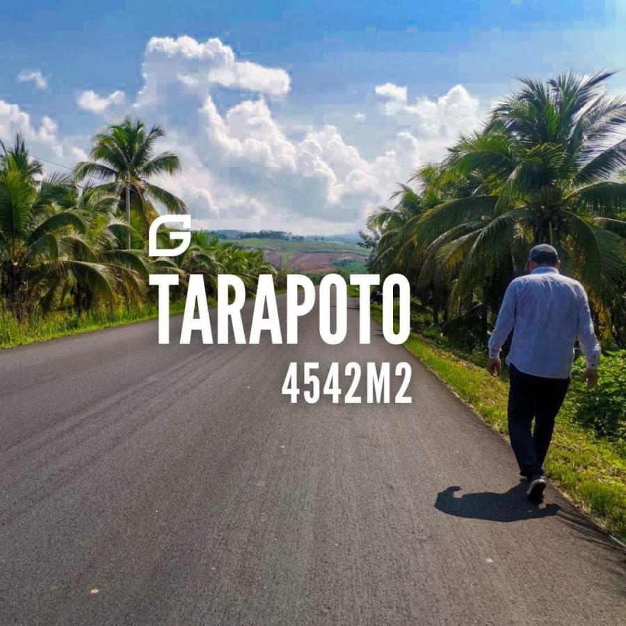 Foto Terreno en Venta en Tarapoto, San Martin - S/. 110.000 - TEV37995 - BienesOnLine