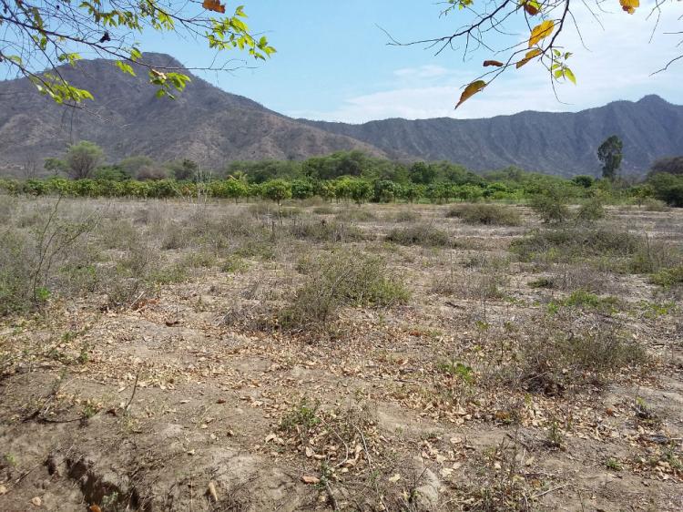 VENDO PREDIO AGRÍCOLA CON ARBOLES FRUTALES Y CASA DE CAMPO