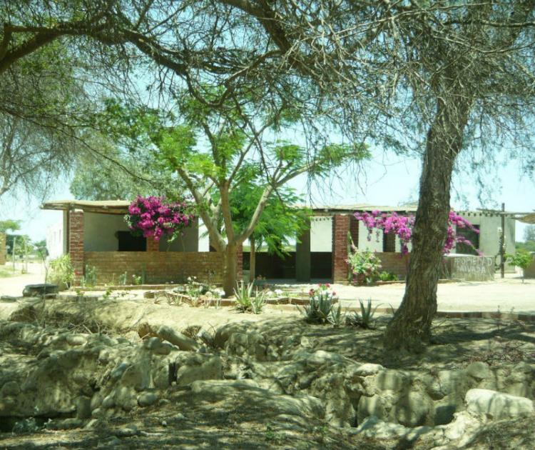 Vendo Terreno Agrícola 18 Hectáreas en CHincha Alta