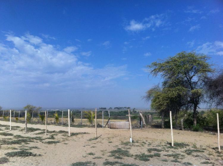 Foto Terreno en Venta en piura, Piura, Piura - U$D 30 - TEV20088 - BienesOnLine