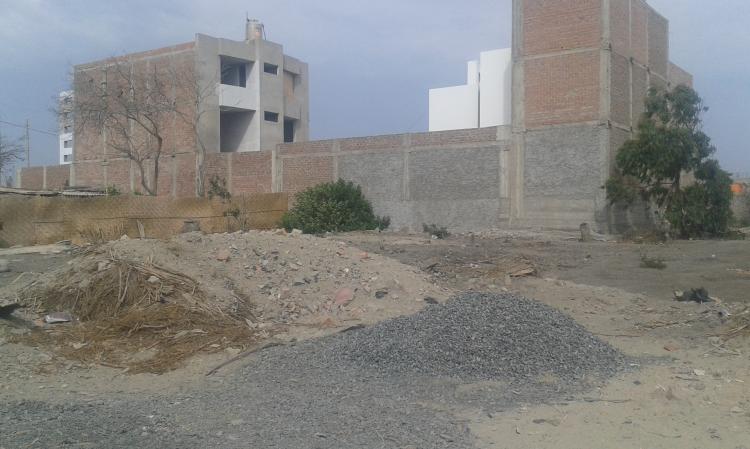 Foto Terreno en Venta en Nuevo Chimbote, Nuevo Chimbote, Santa - U$D 50 - TEV15101 - BienesOnLine