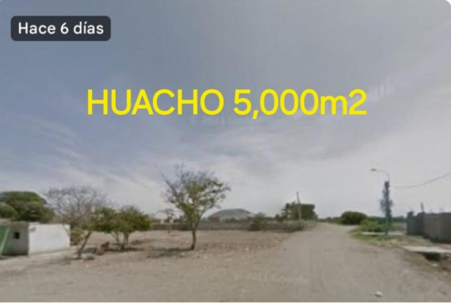 Foto Agricola en Venta en Huaura, Huacho, Huaral - U$D 400.000 - AGV39467 - BienesOnLine