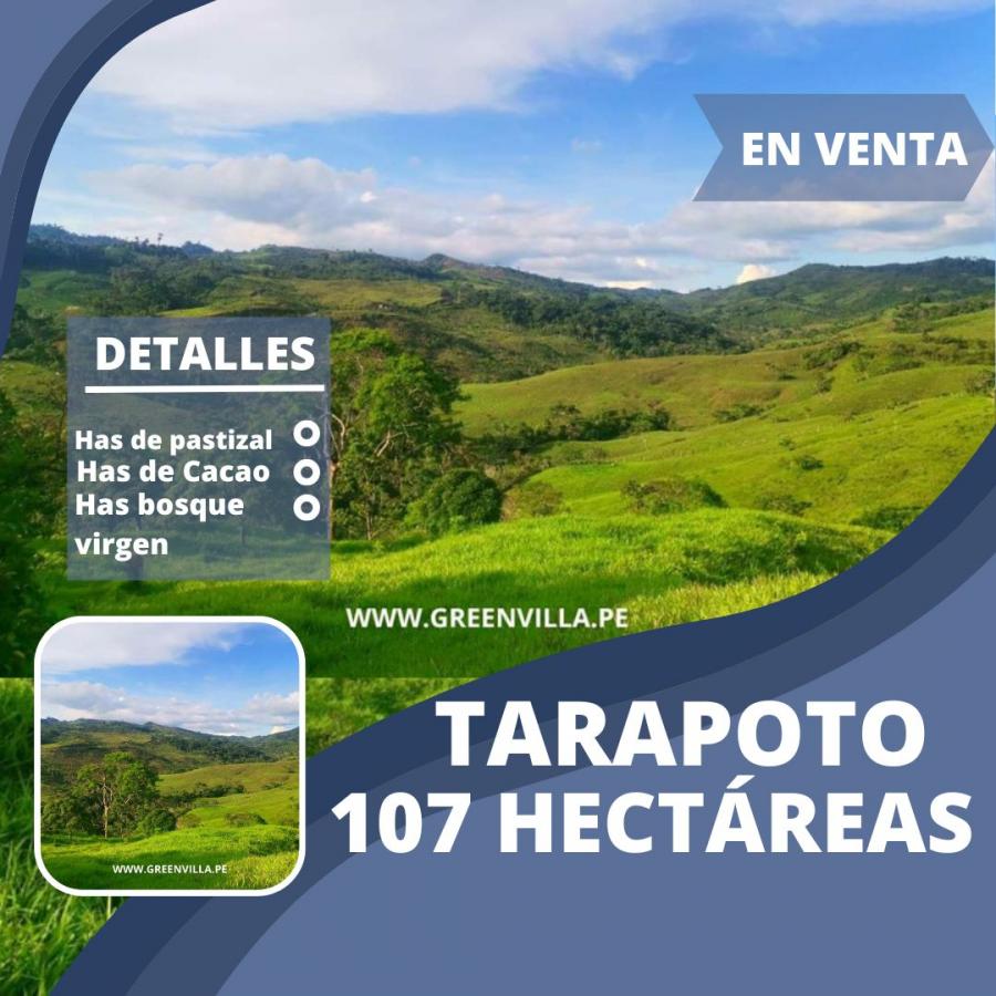 Foto Terreno en Venta en Tarapoto, San Martin - 107 hectareas - S/. 1.070.000 - TEV36483 - BienesOnLine