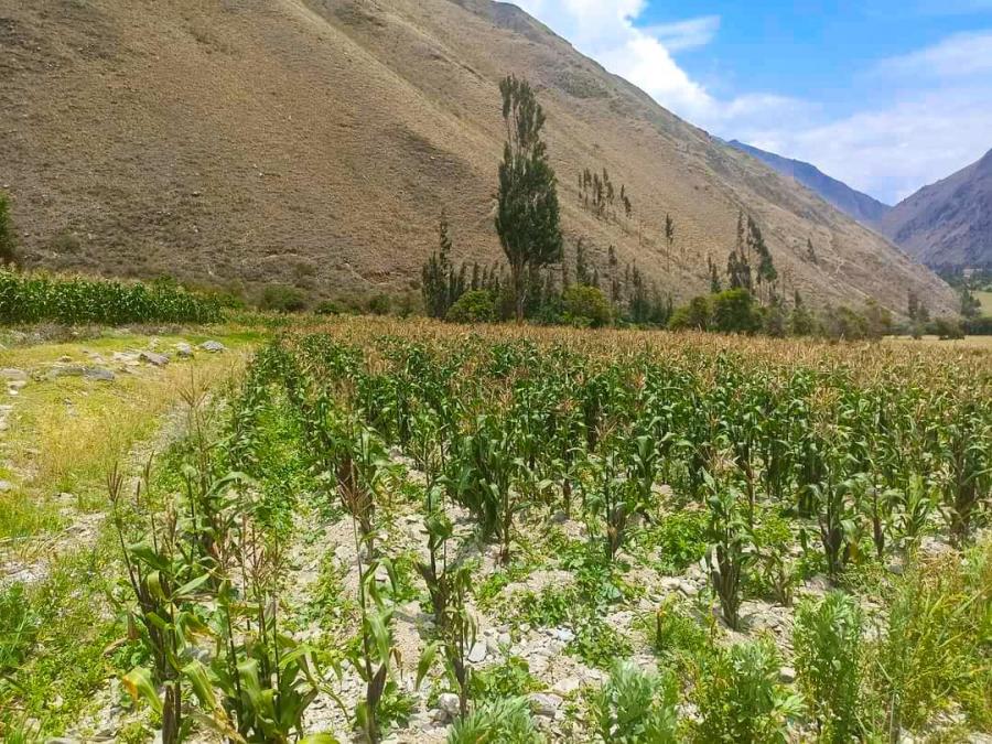 Foto Terreno en Venta en Ollantaytambo, Urubamba - U$D 32 - TEV39334 - BienesOnLine