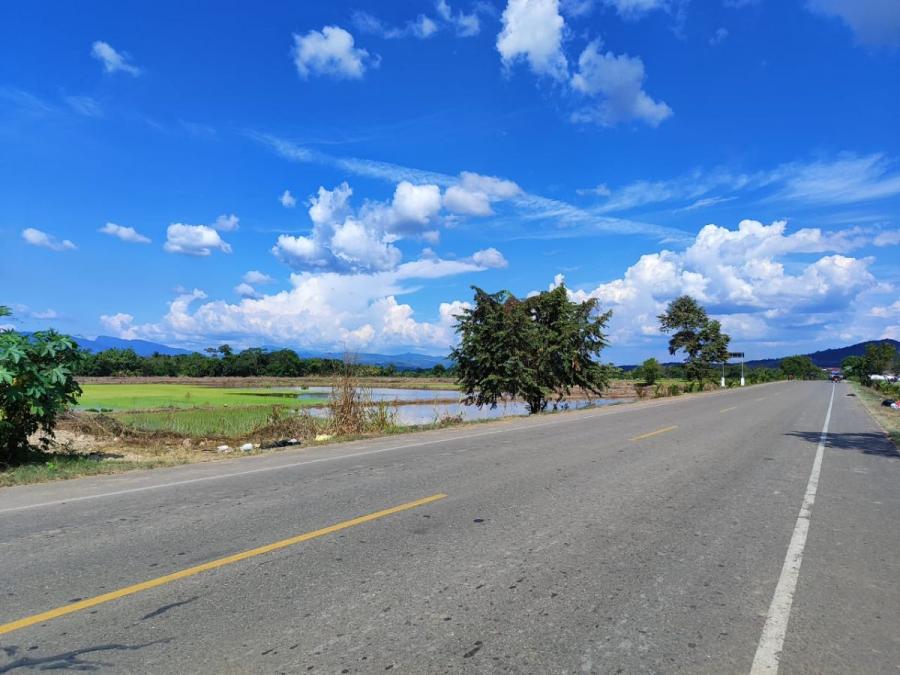 VENTA DE 17 HECTAREAS EN TARAPOTO VIA DE EVITAMIENTO