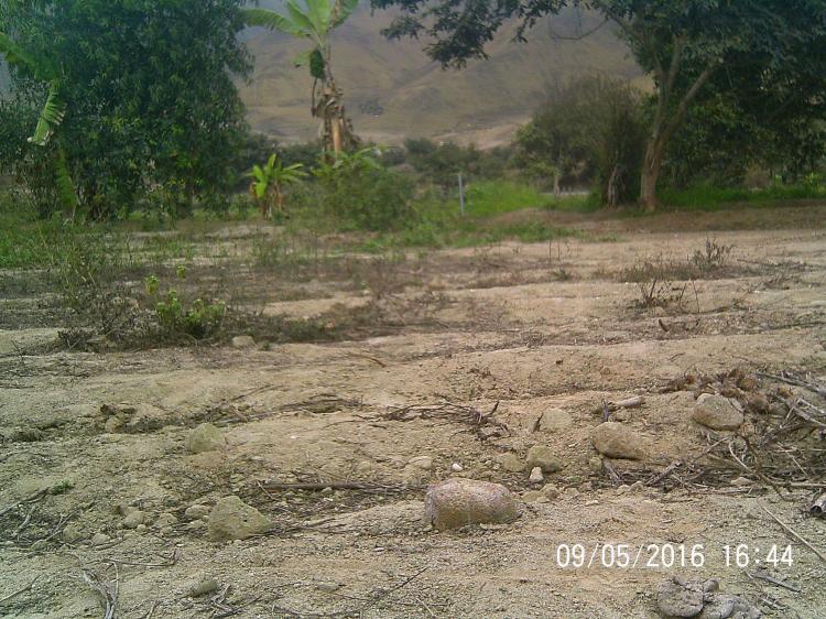 Foto Terreno en Venta en Coayllo, Coayllo, Canete - TEV20056 - BienesOnLine