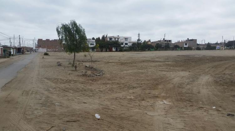 Foto Terreno en Venta en Nuevo Chimbote, Nuevo Chimbote, Santa - TEV23435 - BienesOnLine