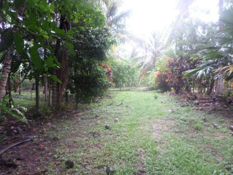 Foto Terreno en Venta en Tarapoto, San Martin - 12 hectareas - S/. 360.000 - TEV16984 - BienesOnLine