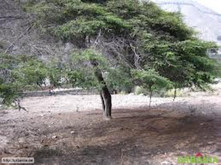 Foto Terreno en Venta en San Juan De Lurigancho, Lima - U$D 12.780.000 - TEV9898 - BienesOnLine