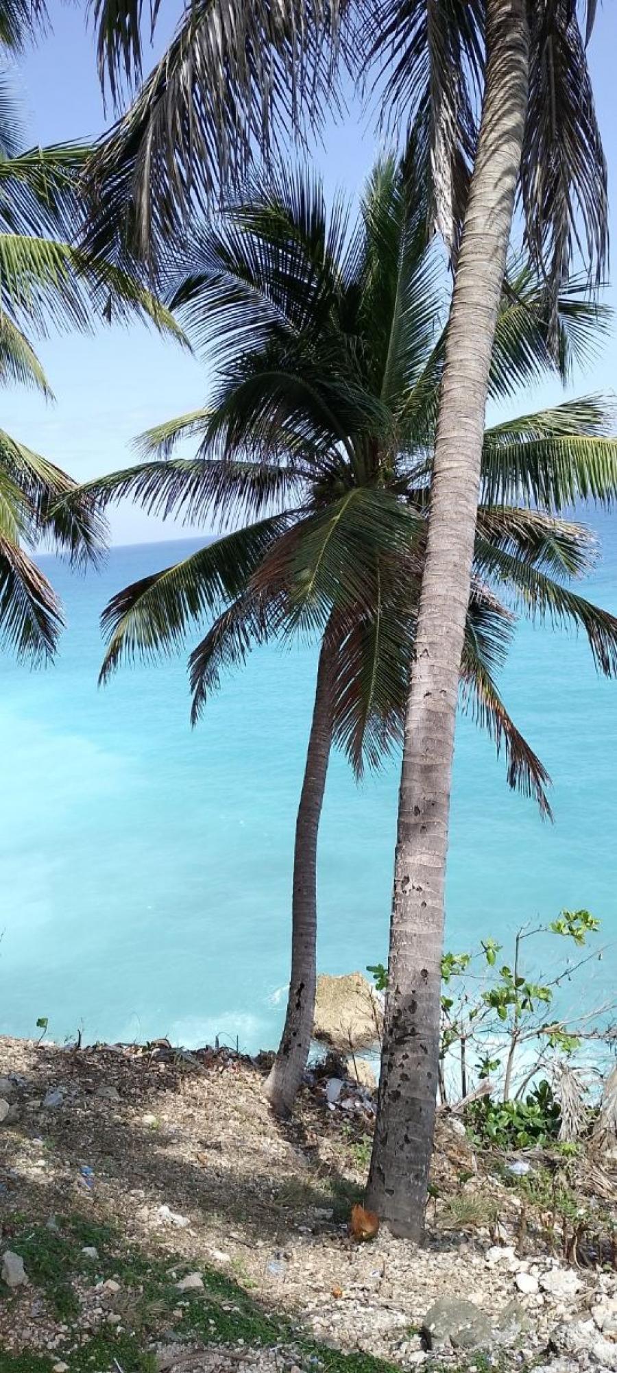 v50 “Hotel Paraíso en Barahona: Un Refugio Junto al Mar con Piscina y todo su equipamento. 