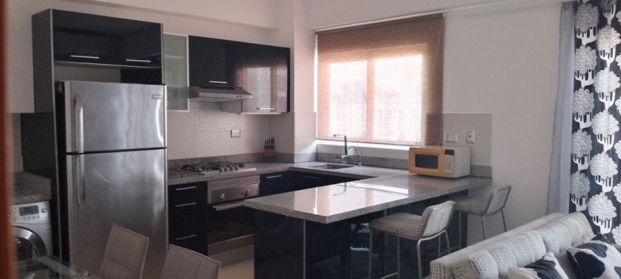 Foto Apartamento en Alquiler en PIANTINI, Piantini, Distrito Nacional - U$D 1.100 - APA71345 - BienesOnLine