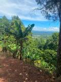 Solar en Venta en El pedregal Jarabacoa