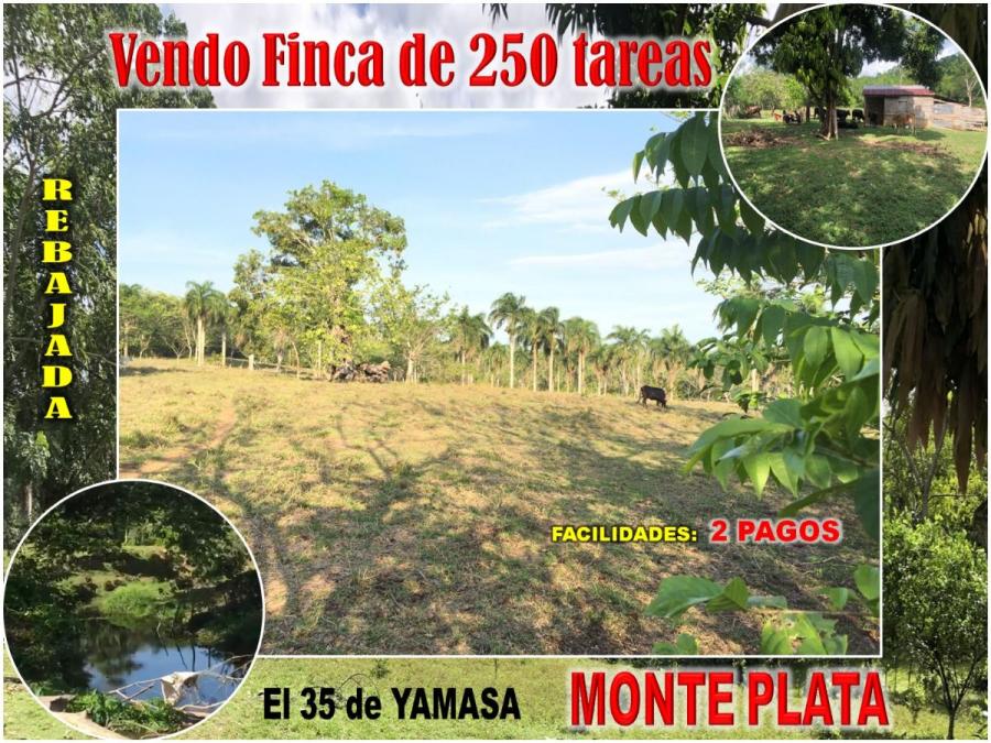 FINCA DE 250 TAREAS EN EL 35 DE YAMASA, PRECIO REBAJADO Y A 2 PAGOS, CON 2 RIOS DENTRO