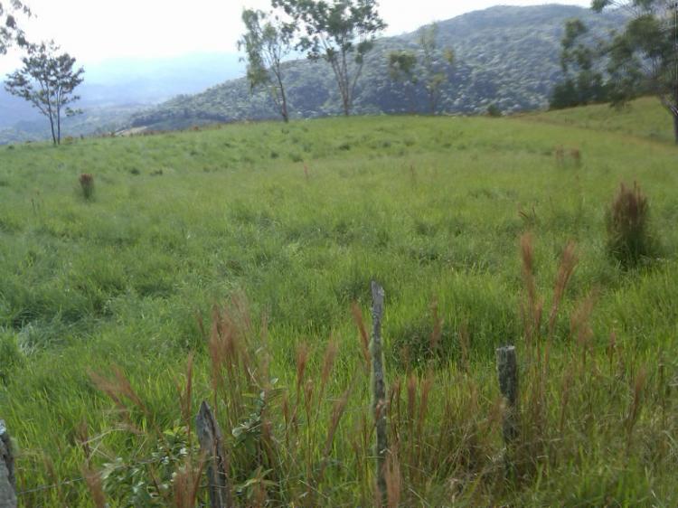 Finca Ganadera, Agricola e Invernadero