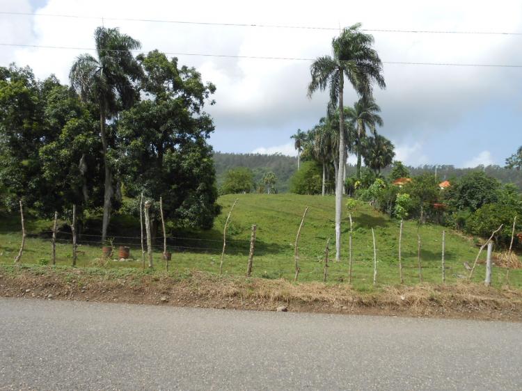 Foto Finca en Venta en Concepcin de La Vega, La Vega - $ 10.000.000 - FIV782 - BienesOnLine