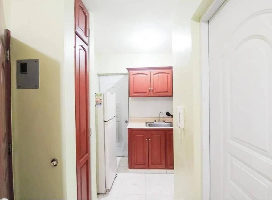 Foto Apartamento en Alquiler en Gascue, Gazcue, Distrito Nacional - $ 24.900 - APA75733 - BienesOnLine