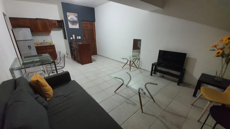 Foto Apartamento en Alquiler en Gazcue, Distrito Nacional - U$D 550 - APA14650 - BienesOnLine