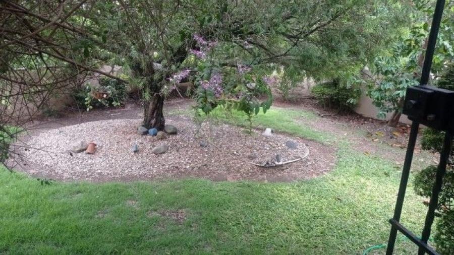 Hermosa casa con patio y Jardin en  Arroyo Hondo III