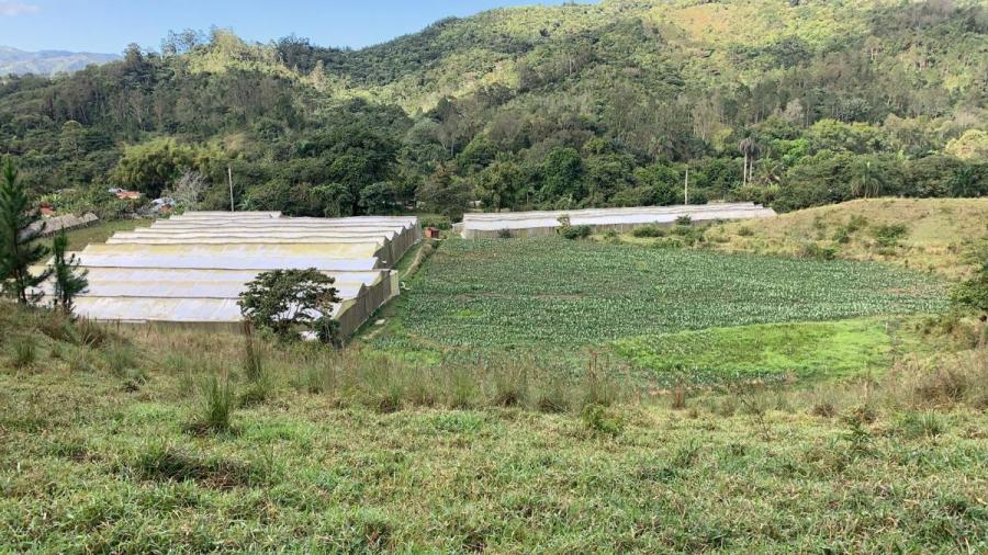 Hermosa Finca en Rancho arriba 