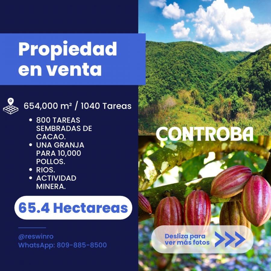 Foto Finca en Venta en Loma Miranda, Concepcin de La Vega, La Vega - 64 hectareas - U$D 2.515.000 - FIV72538 - BienesOnLine