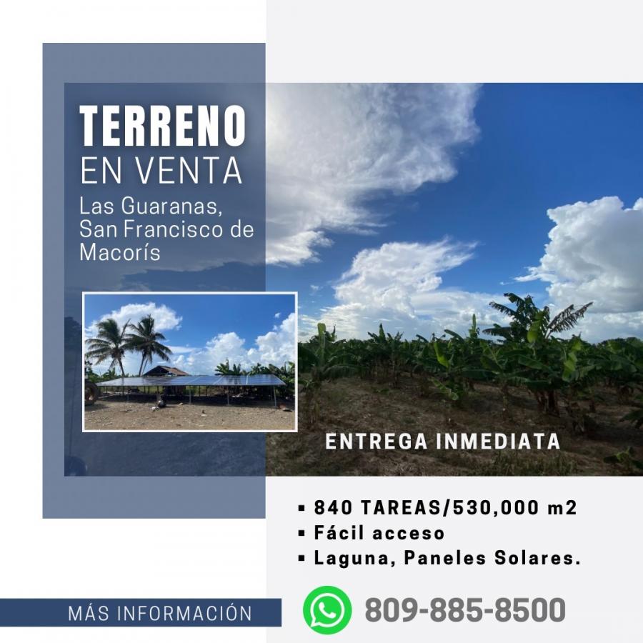 Foto Finca en Venta en Las Guaranas, San Francisco de Macorís, Duarte - 53 hectareas - U$D 2.550.000 - FIV72533 - BienesOnLine