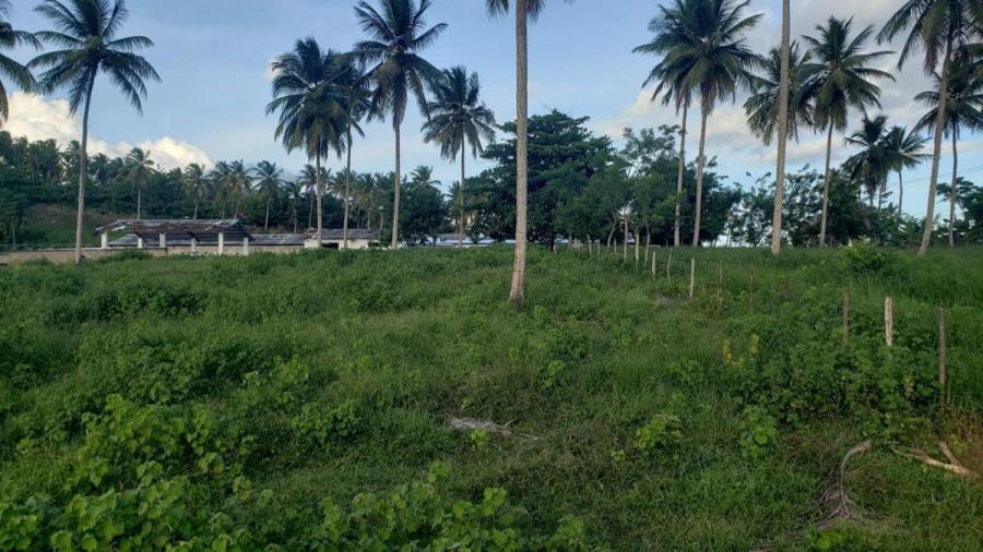 Foto Finca en Venta en Nagua, Samaná - U$D 541.489 - FIV71588 - BienesOnLine