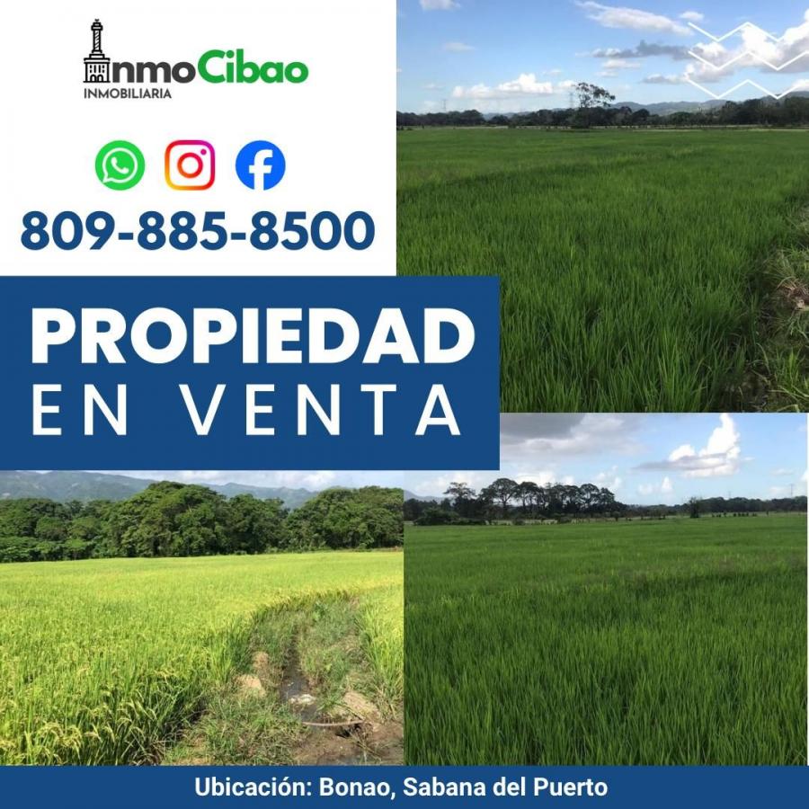 Foto Finca en Venta en Sabana del Puerto, Monseor Nouel - 3 hectareas - $ 8.000.000 - FIV72600 - BienesOnLine