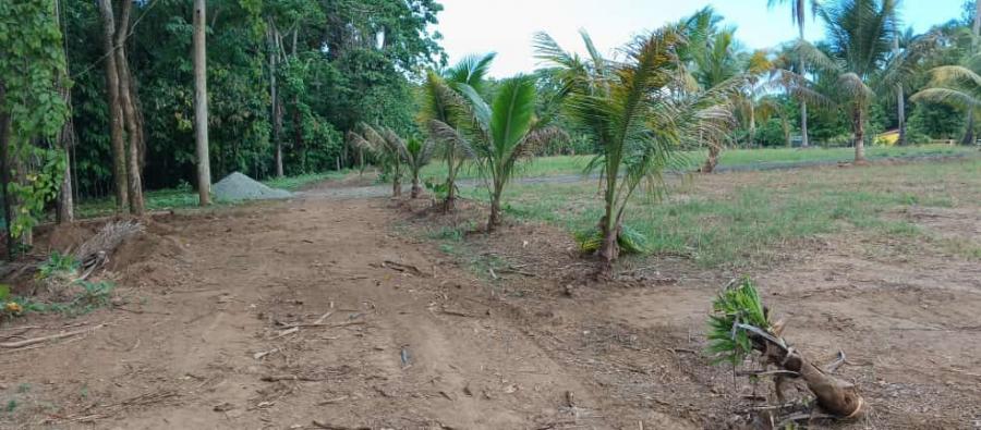 SOLARES DE VENTA EN PROYECTO ECOTURISTICO DE BONAO