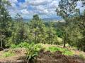 Solar en Venta en La Piña Jarabacoa