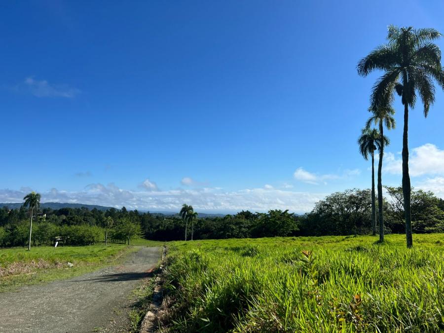 Foto Solar en Venta en Piedra Blanca, Jarabacoa, La Vega - U$D 74 - SOV65512 - BienesOnLine