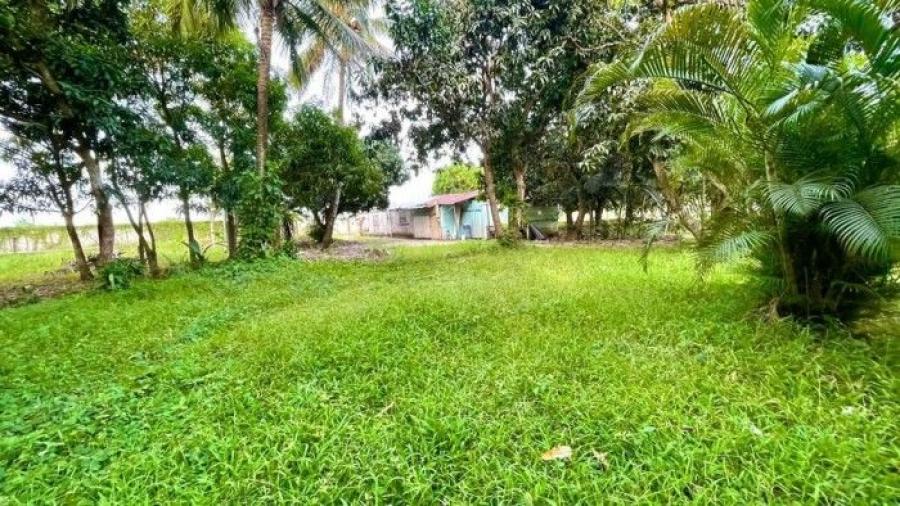 Foto Solar en Venta en Hato Nuevo, Hato Nuevo, San Cristóbal - $ 25.500.000 - SOV19995 - BienesOnLine