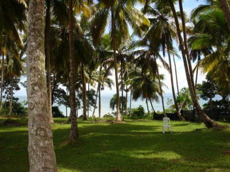 TERRENO FRENTE MAR A SAMANA