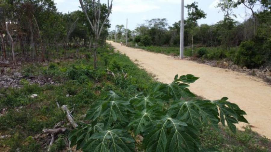 TERRENOS EN VENTA EN BAYAHIBE