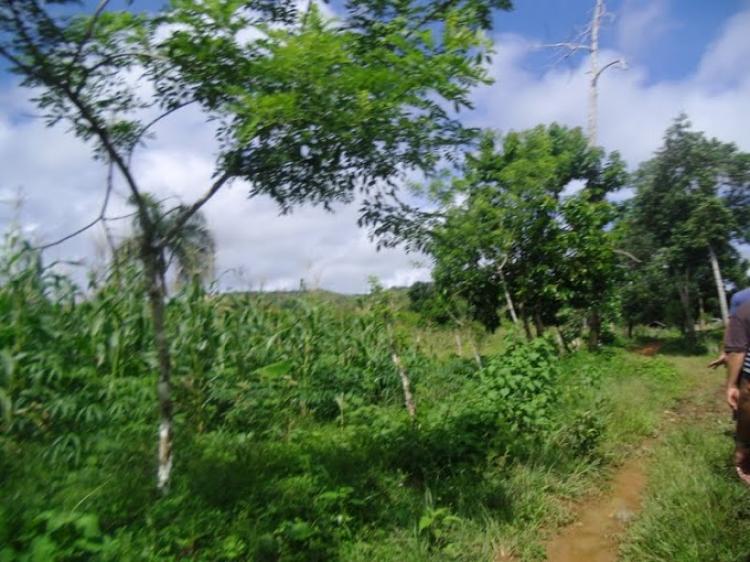 Foto Finca en Venta en Río San Juan, María Trinidad Sánchez - $ 8.000 - FIV929 - BienesOnLine