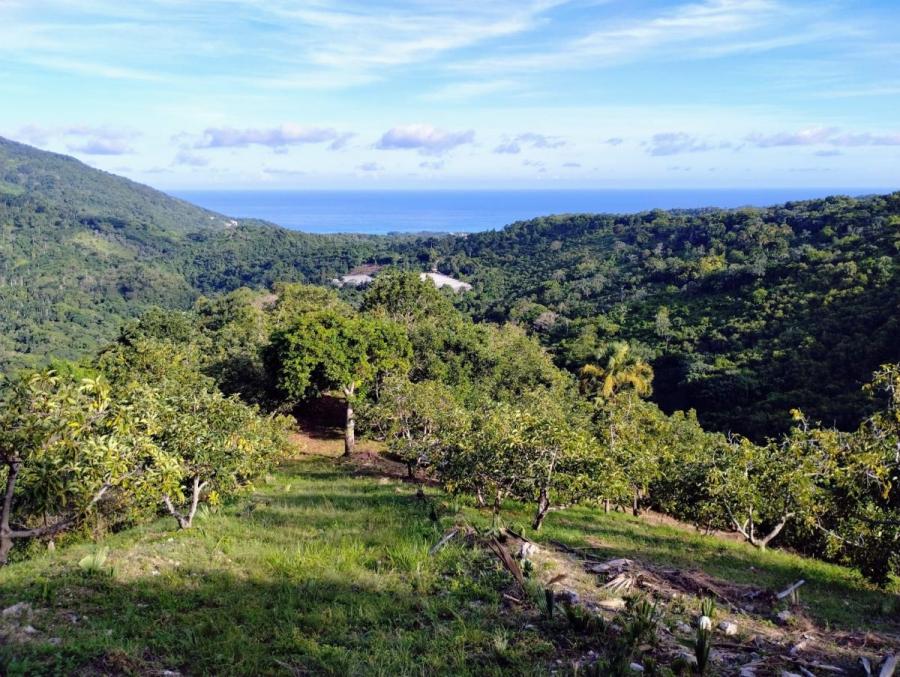 Vendo Finca en Paraiso , Barahona , 405 Tareas, US$ 995,000.00