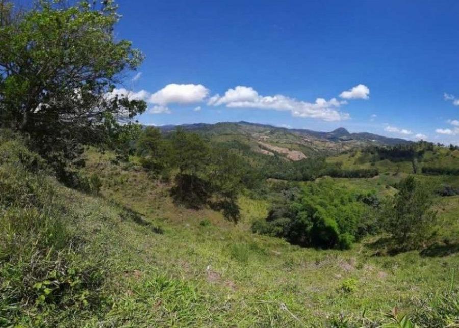 Foto Finca en Venta en Jarabacoa, La Vega - $ 48.330.000 - FIV72498 - BienesOnLine