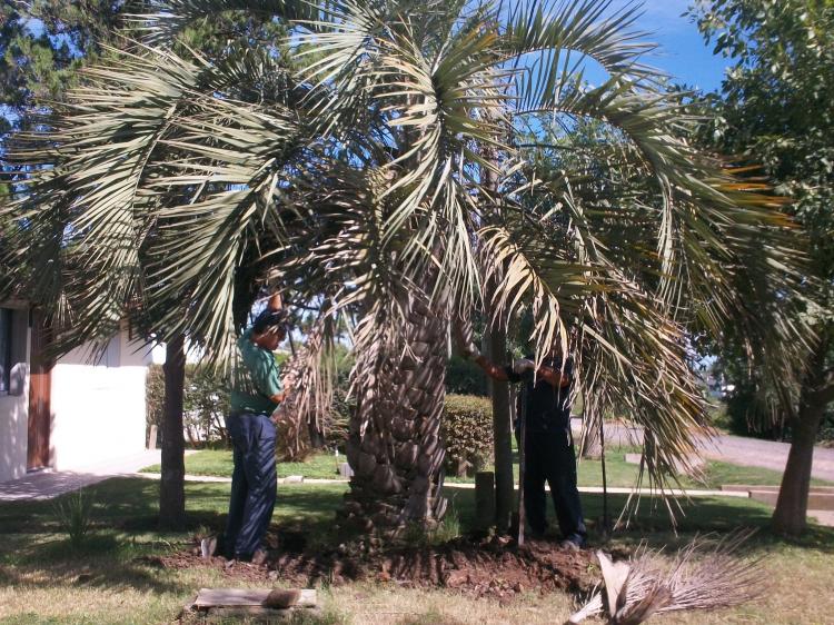 Foto Campo en Venta en las tropas, Treinta y Tres, Treinta y Tres - $ 4.500 - CPV3452 - BienesOnLine