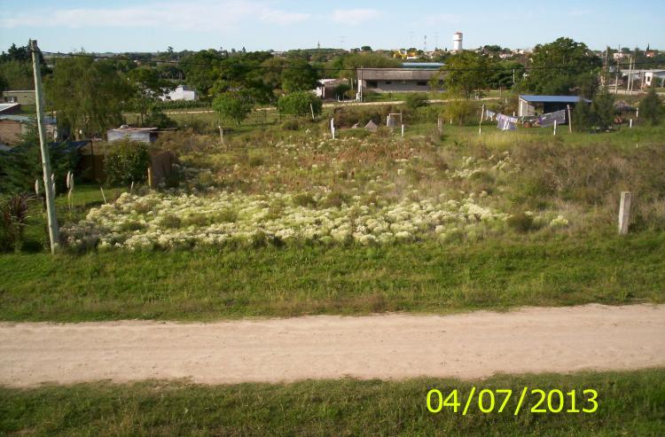 Foto Terreno en Venta en Barrio Tarrab, Nueva Helvecia, Colonia - U$D 17.000 - TEV4350 - BienesOnLine