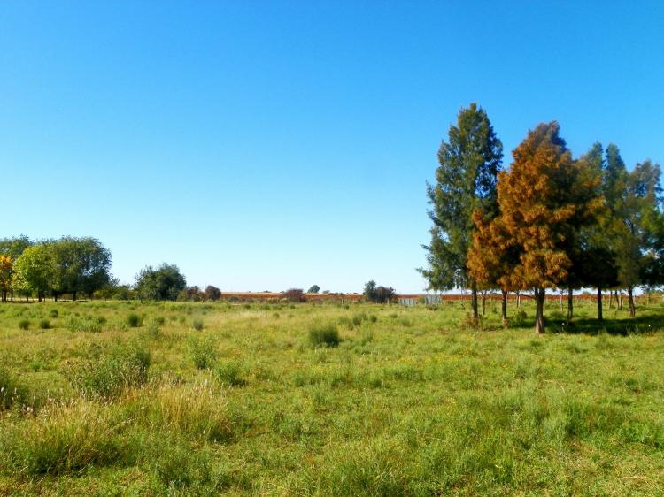 Foto Terreno en Venta en San Pedro, Colonia del Sacramento, Colonia - U$D 55.000 - TEV3352 - BienesOnLine