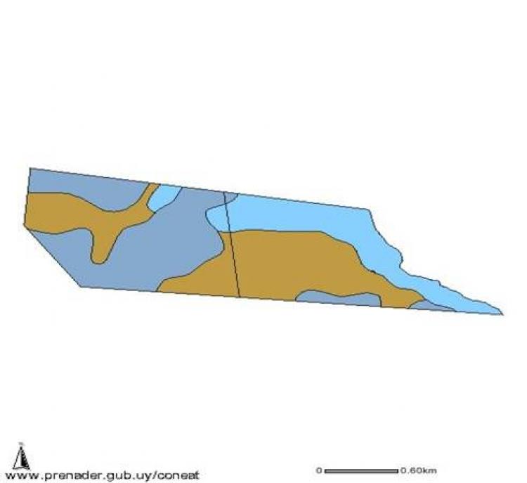 exelente campo en Cololó departamento de Soriano a precio rebajado