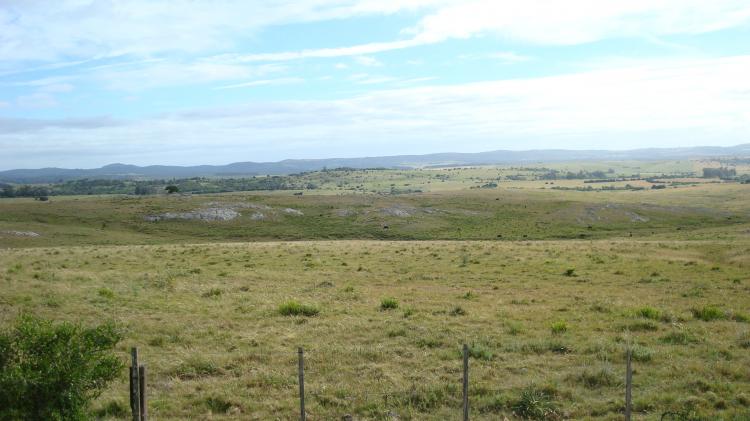 Foto Campo en Venta en Entre Pan de Azucar y Minas, Maldonado - U$D 6.200 - CPV2362 - BienesOnLine