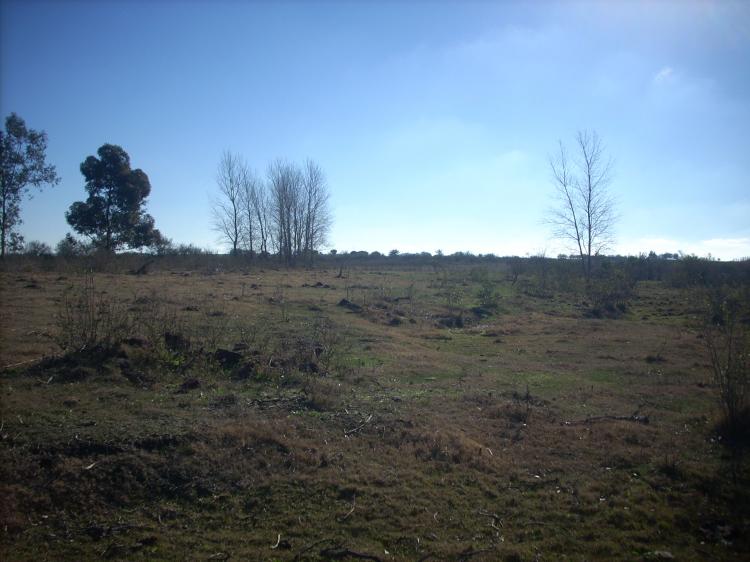 Foto Campo en Venta en Dolores, Soriano - U$D 6.500 - CPV496 - BienesOnLine