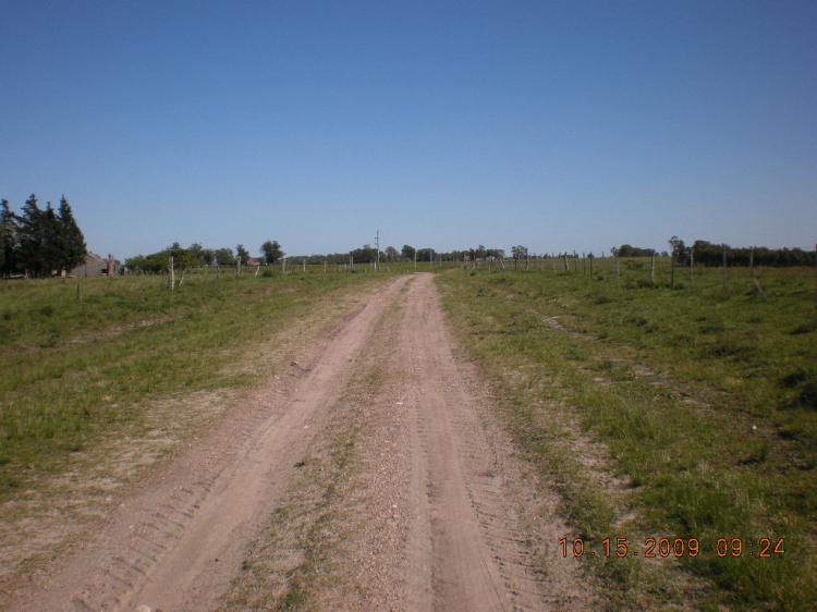 Foto Campo en Venta en Ombues de Oribe, Durazno - U$D 80.000 - CPV1858 - BienesOnLine