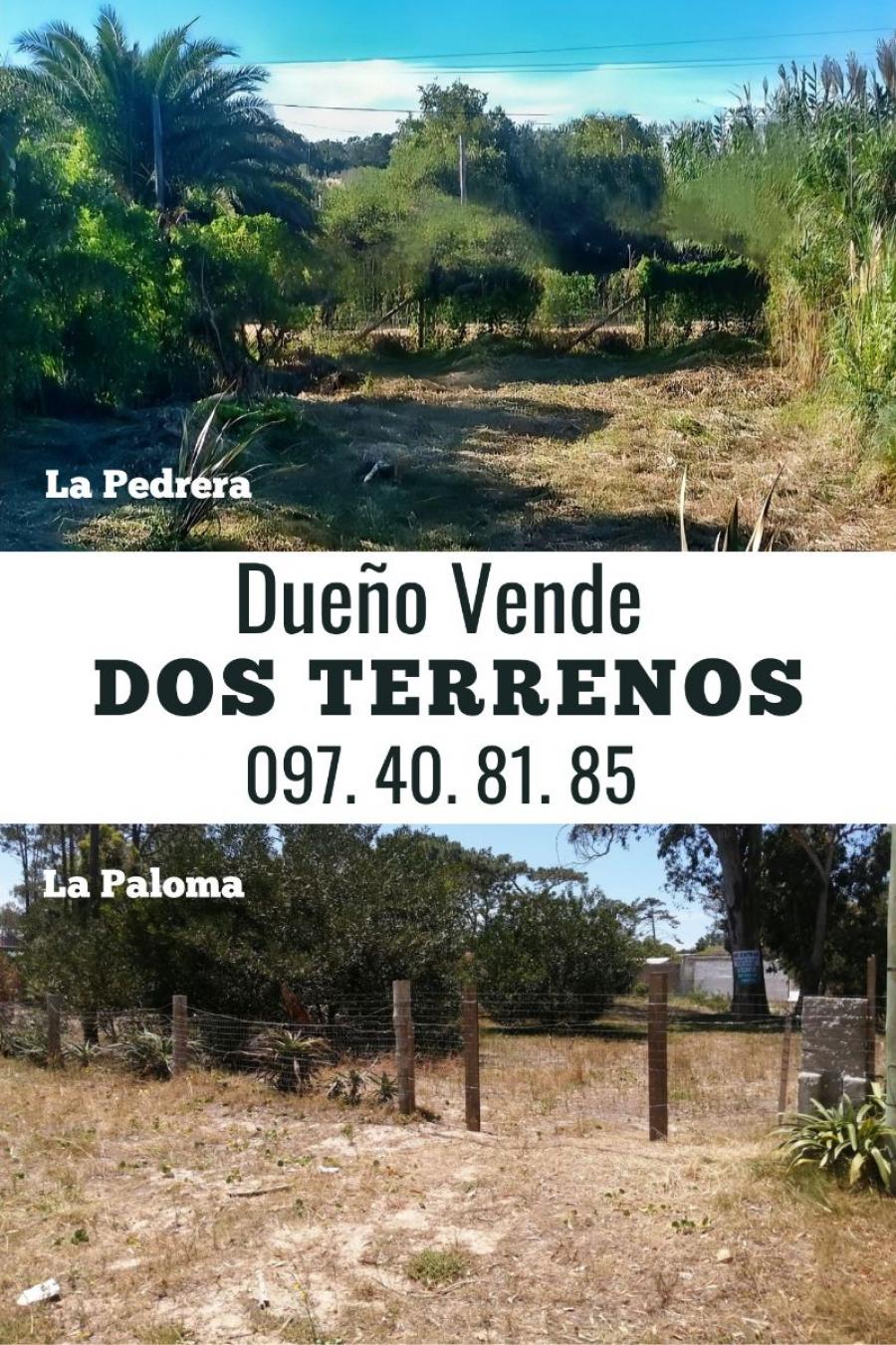 Foto Terreno en Venta en La paloma y la pedrera, Rocha, Rocha - U$D 105.500 - TEV7773 - BienesOnLine