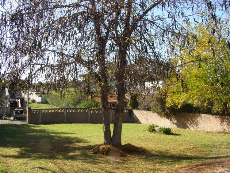 Casa en Real de San Carlos, a cuatro viemtos, con 1400 metros de terreno. Buena ubicación.