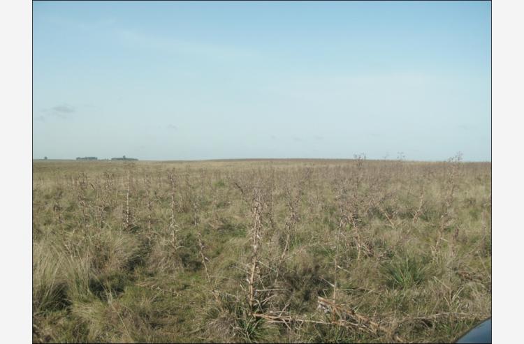 Foto Campo en Venta en Rural., Carreta Quemada, San Jose - U$D 6.000 - CPV4365 - BienesOnLine