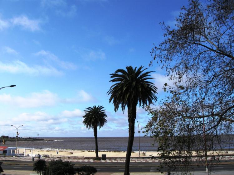 Foto Apartamento en Venta en Pocitos, Montevideo, Montevideo - APV2712 - BienesOnLine