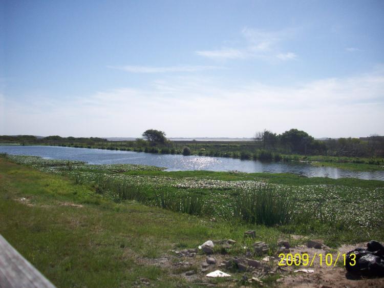 Foto Terreno en Venta en LA JUANITA, LA JUANITA, Maldonado - U$D 60.000 - TEV1732 - BienesOnLine