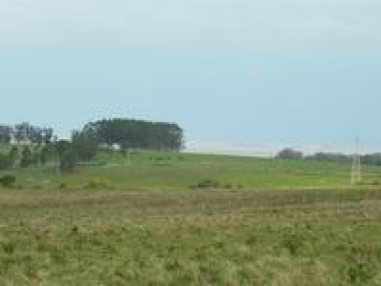 Foto Campo en Venta en jose ignacio y piriapolis , Maldonado - 85 hectareas - U$D 960.000 - CPV414 - BienesOnLine