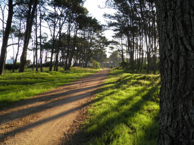 Vendo terreno en Ocean Park Punta del Este